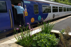 Great_Ayton_Herb_Box_and_Train