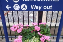 IMG_20200701_184807402