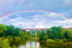 Whitby_Larpool_Rainbow_Daniel_Reid_2020