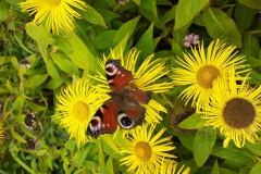 Egton Station Adopters