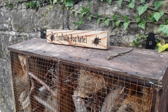 Visitor at Lealholm Bug Hotel